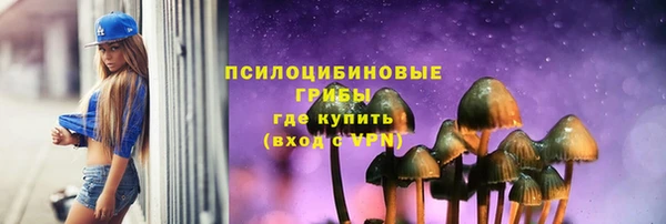 ГАЛЛЮЦИНОГЕННЫЕ ГРИБЫ Алзамай