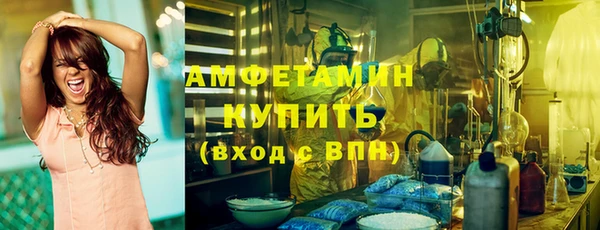 ГАЛЛЮЦИНОГЕННЫЕ ГРИБЫ Алзамай