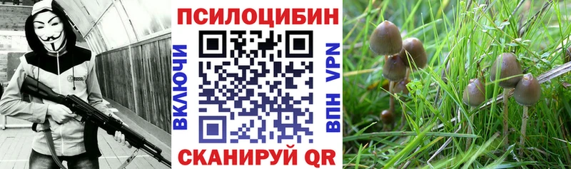 Галлюциногенные грибы ЛСД  kraken зеркало  Бобров  где продают наркотики 